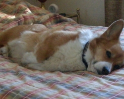 Marty siesta